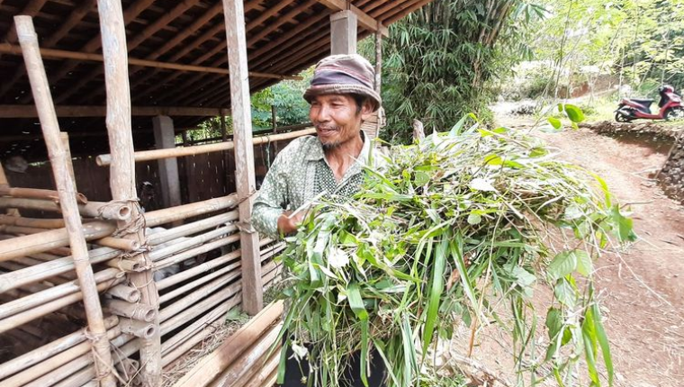 Kampung Pitu: Warisan Tujuh Keluarga di Puncak Gunung Purba Nglanggeran
